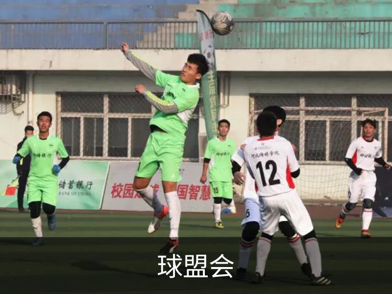 关于球盟会